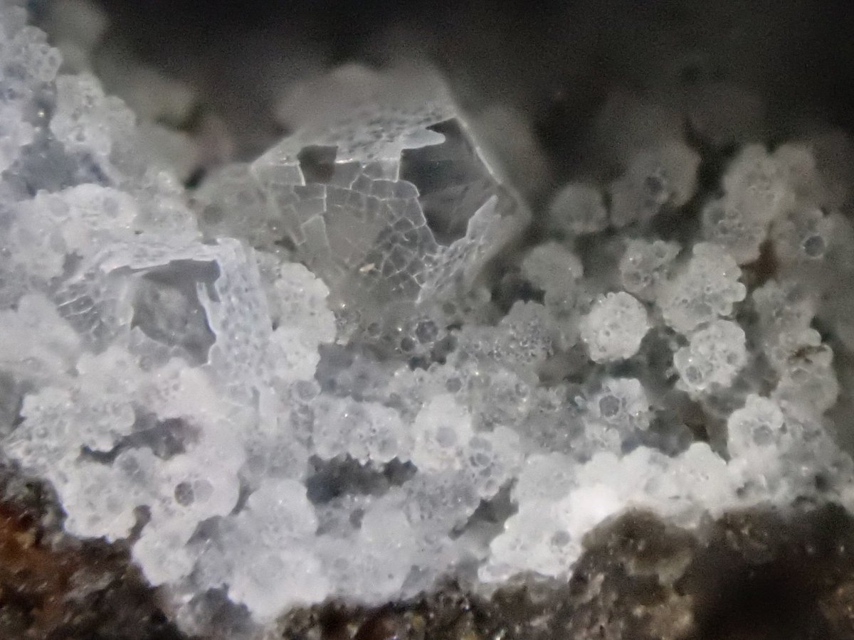 りゅう tweet media