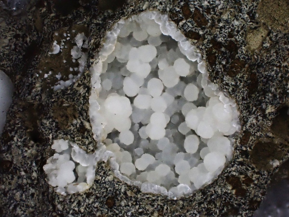 りゅう tweet media