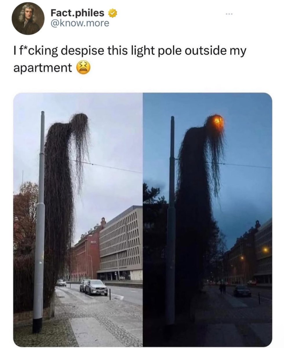 HyruleFashionWeek tweet media