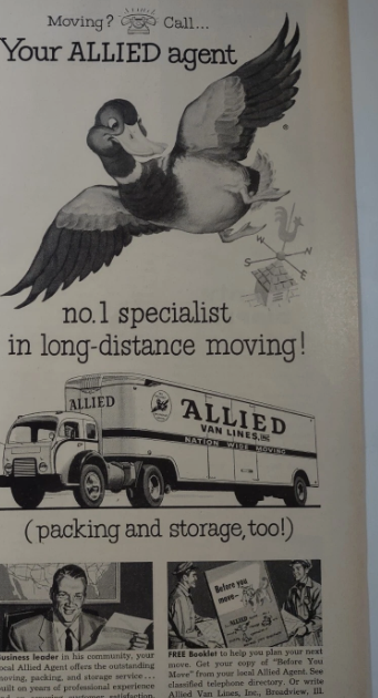 할로우포인트 tweet media