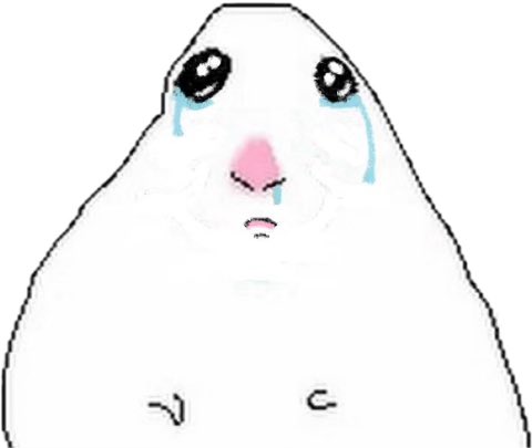 liz .☘︎ ݁˖ tweet media