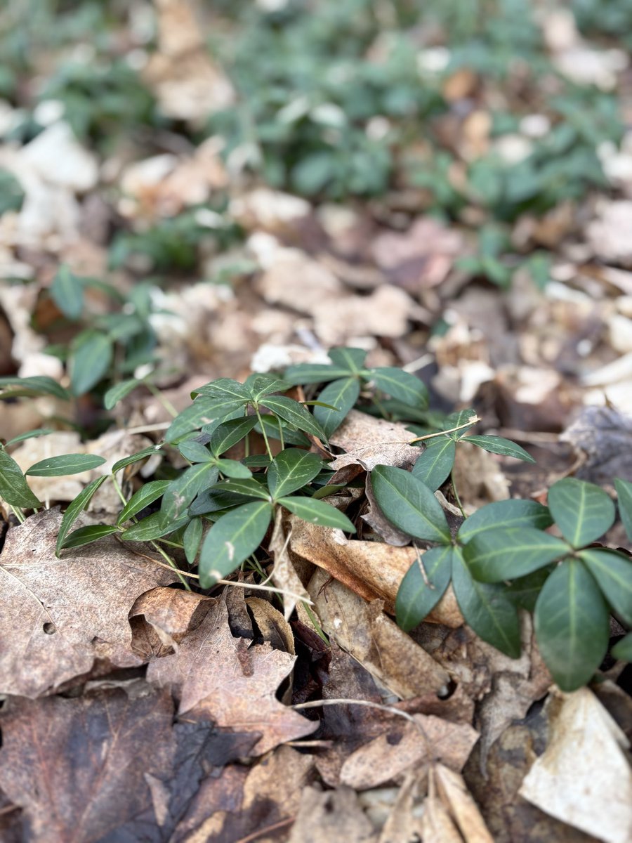 Heidi - Persistence_Matters tweet media