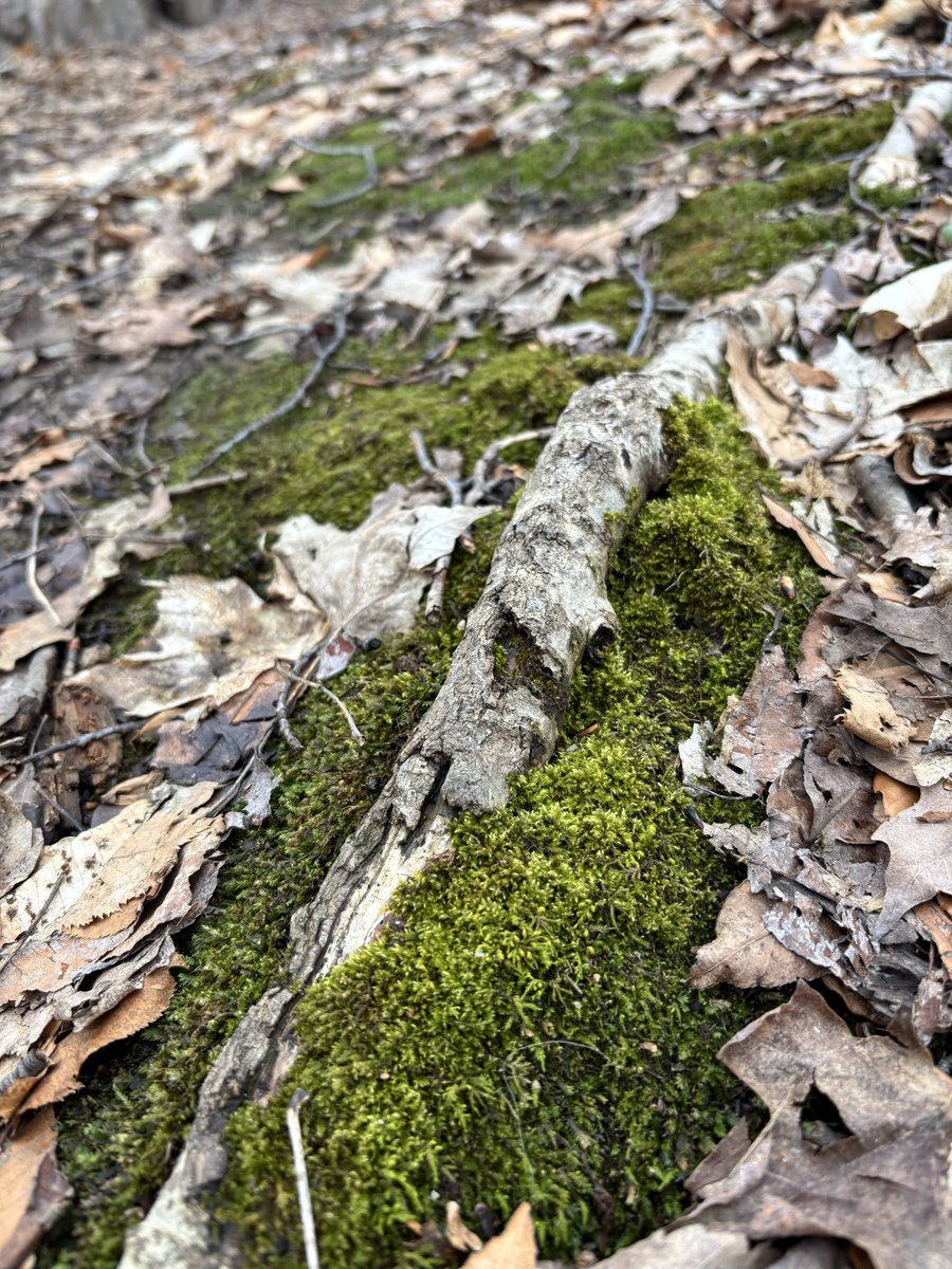 Heidi - Persistence_Matters tweet media