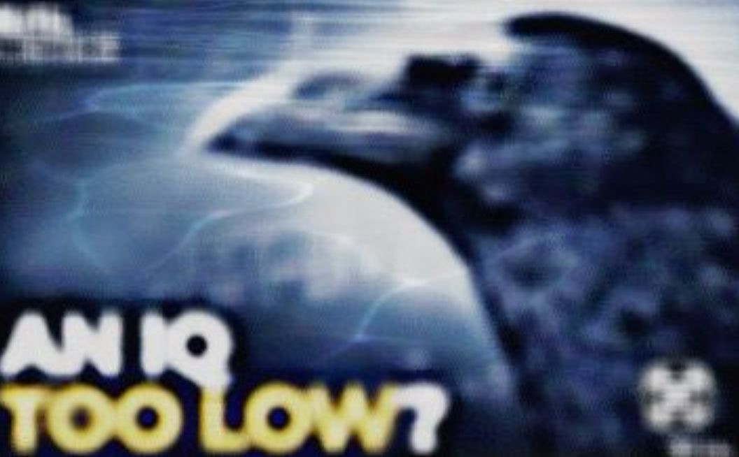 Resetttttttttttt tweet media