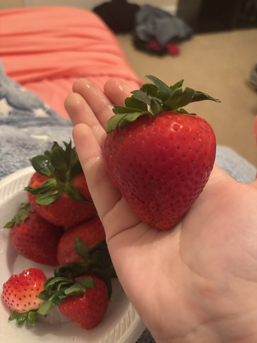 mars/lucie ^_^ // clear’s sweetheart tweet media