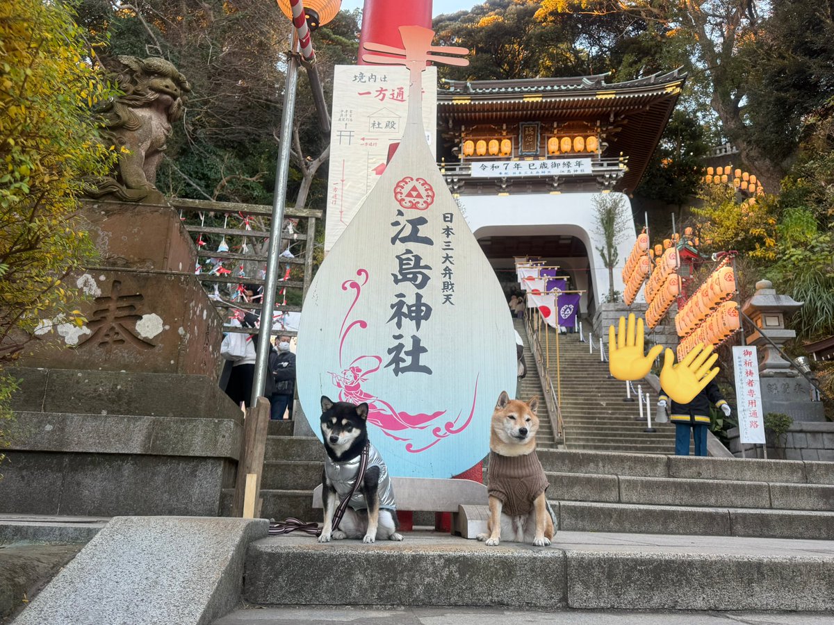 れんちゃん💜ྀི【SKB♡サブマス】 tweet media