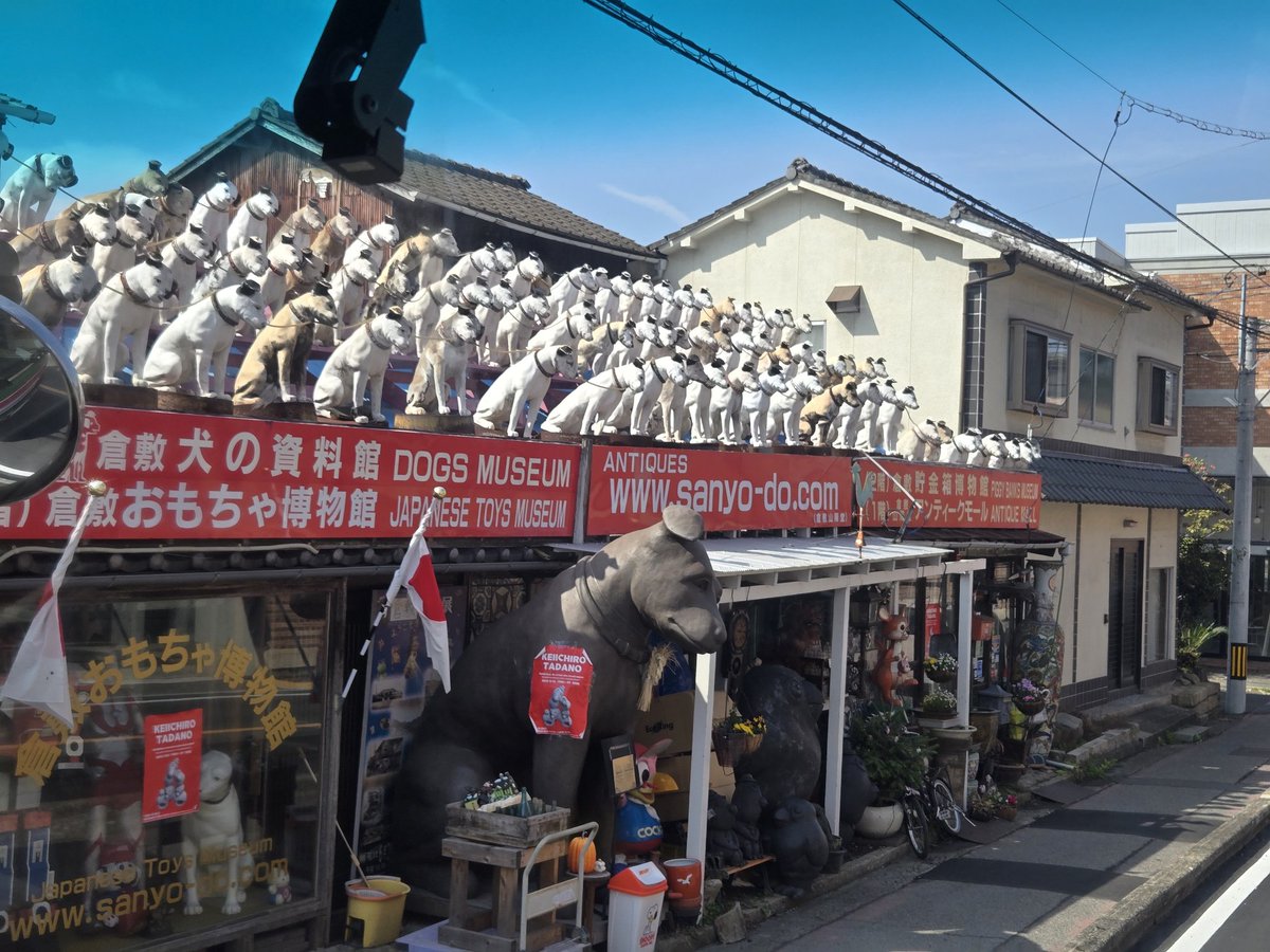 BrandNewRock’n‘RollShow 鶴 & THE Boogie Meist/156 tweet media