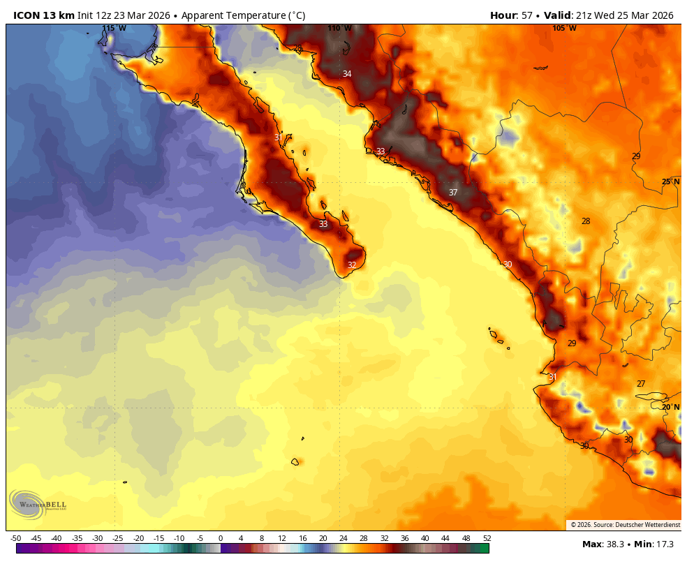SinaStorm MX tweet media