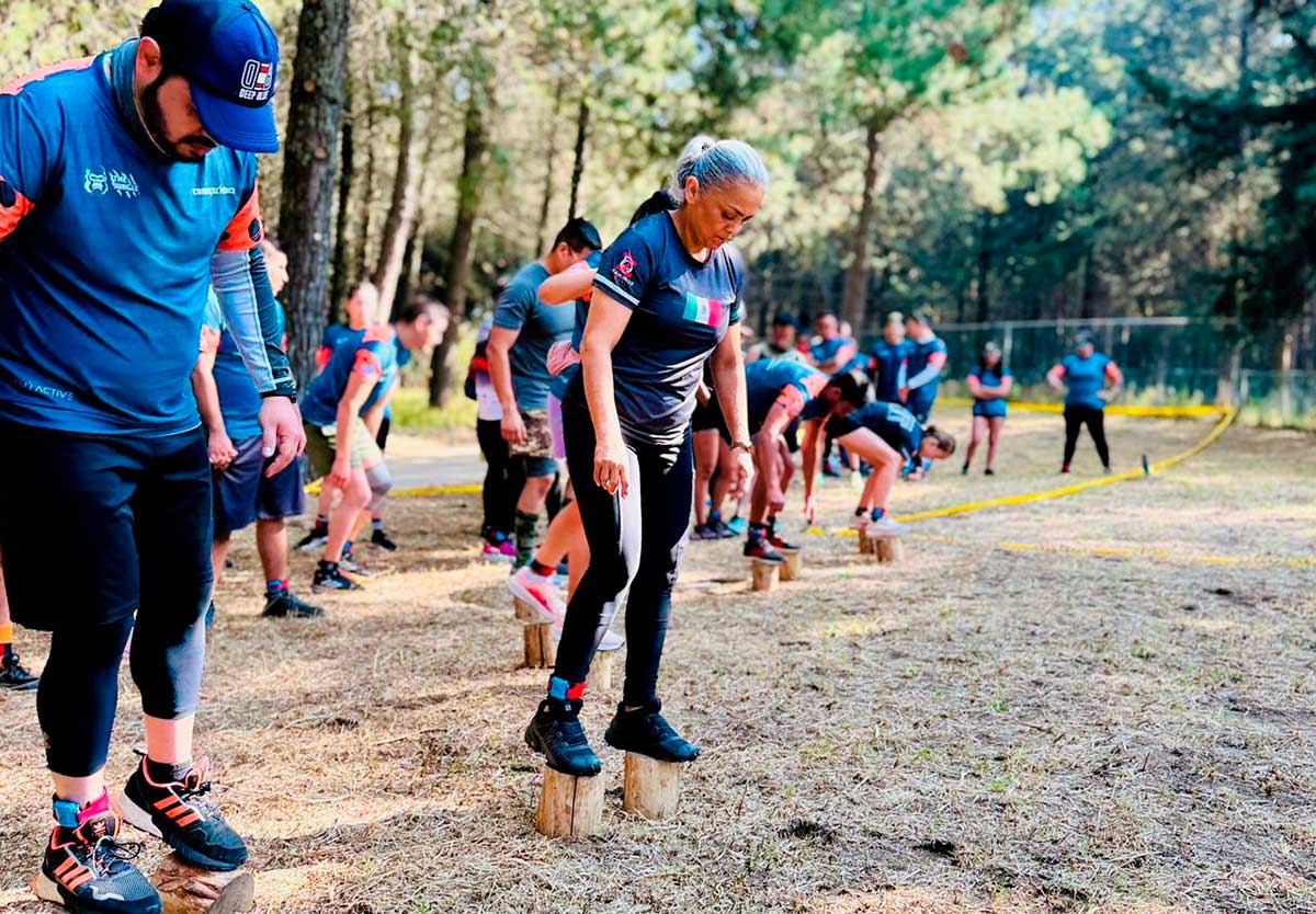 AGENCIA MVT tweet media