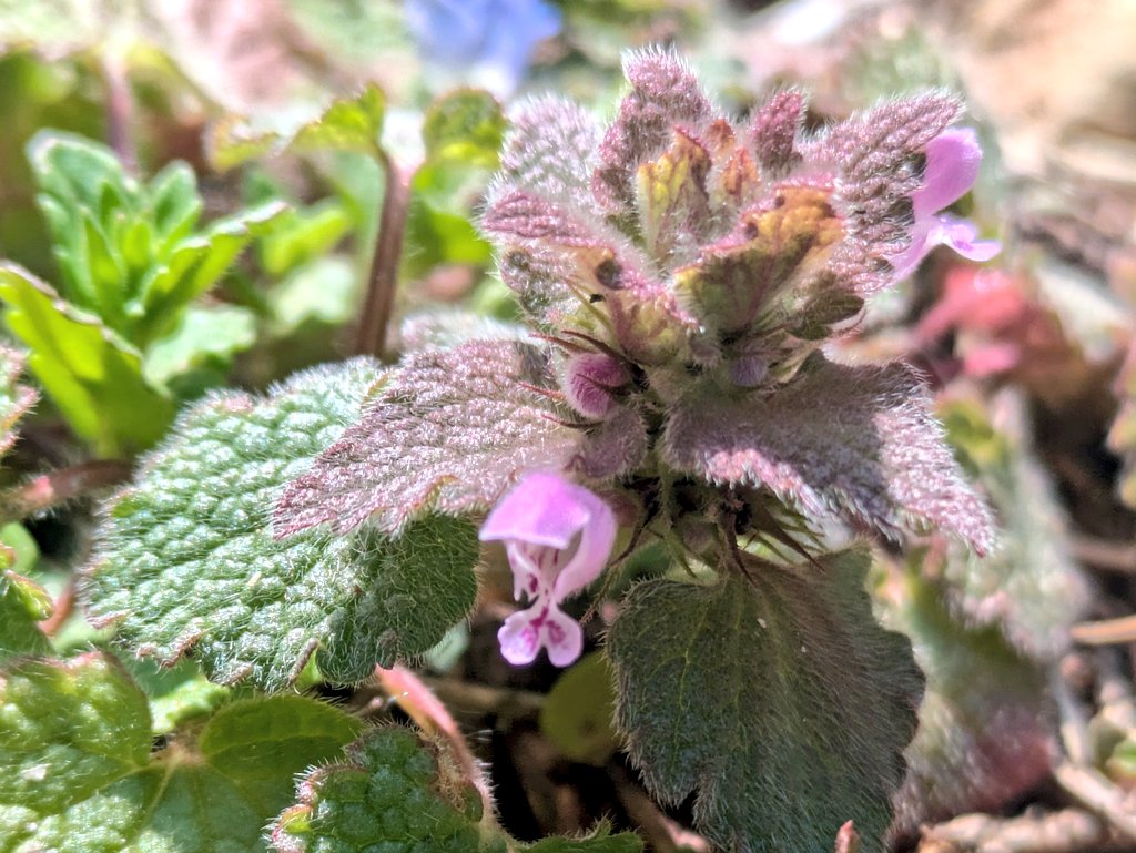 E.E.Flow♨ tweet media