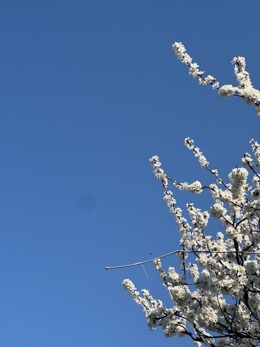 Jjjjfromblue tweet media