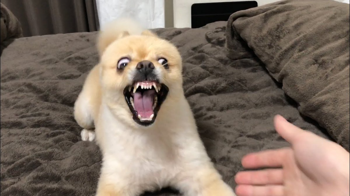 ク浪ド・モネ tweet media