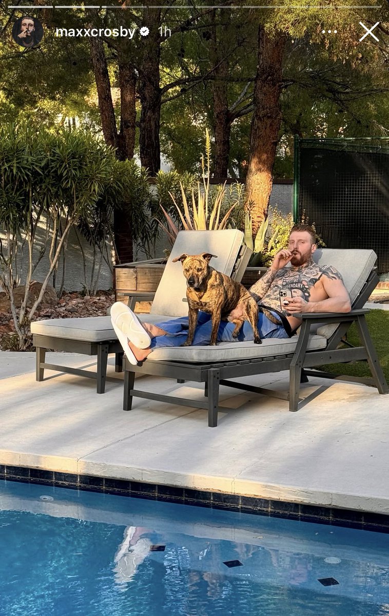 Nick Walters tweet media