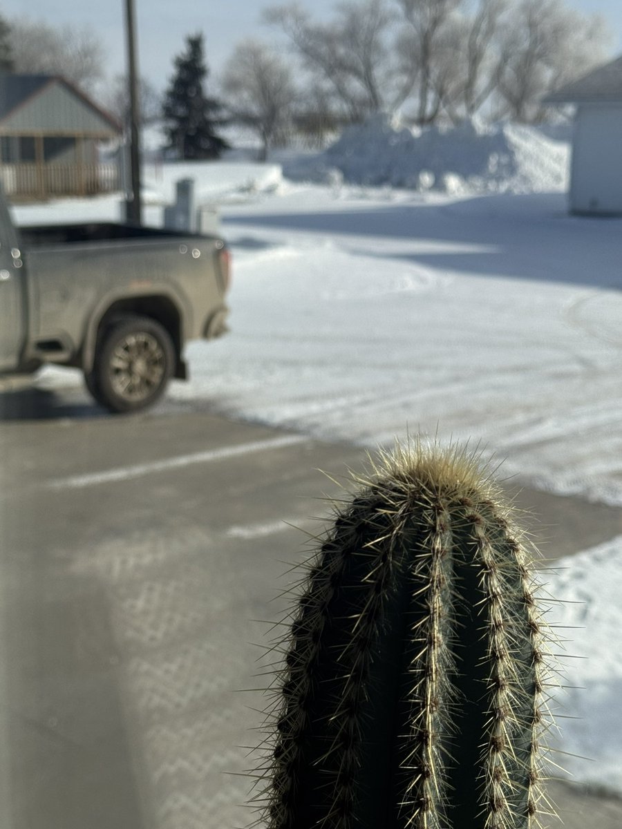 Rob Stone 🇨🇦 🧢 tweet media