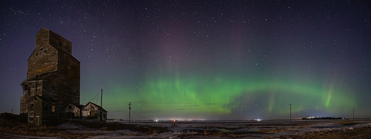 tracygregorash's tweet image. A few panoramic views from last night’s (Mar. 22) aurora near Neepawa and Minnedosa. #aurora #Manitoba