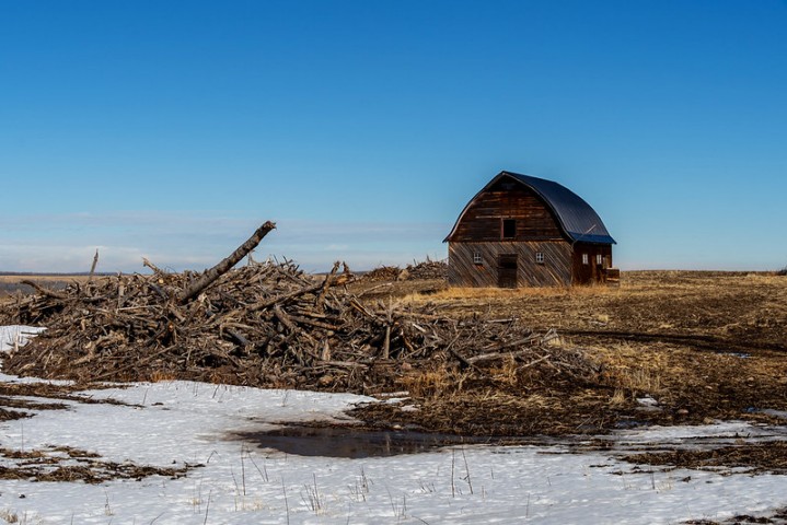 Brian Kennedy🧢 tweet media