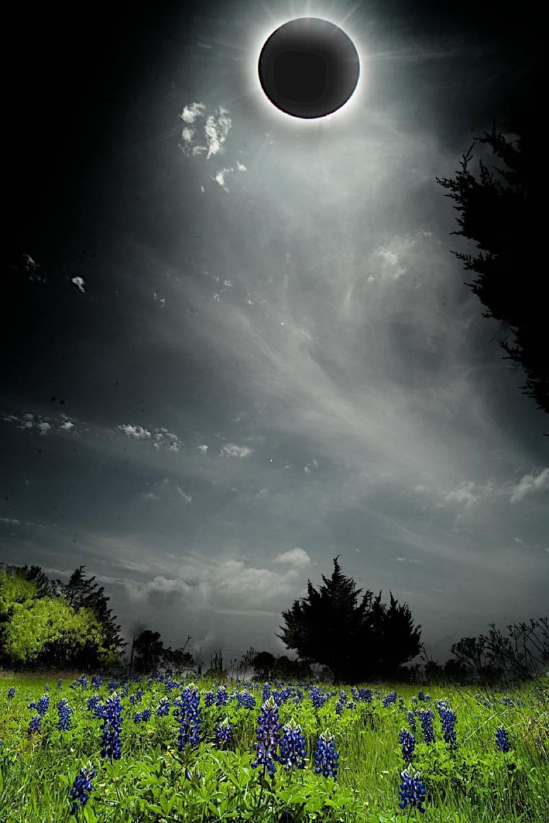 Texas 🇺🇸 tweet media