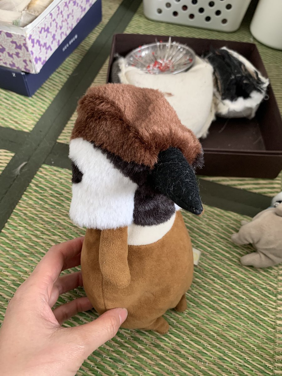 もふもふとり工房 tweet media