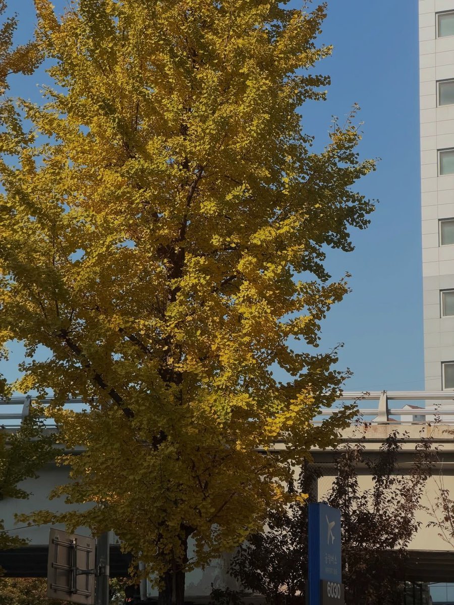 ハムちゃん tweet media