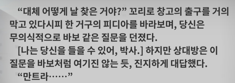 연설화 tweet media