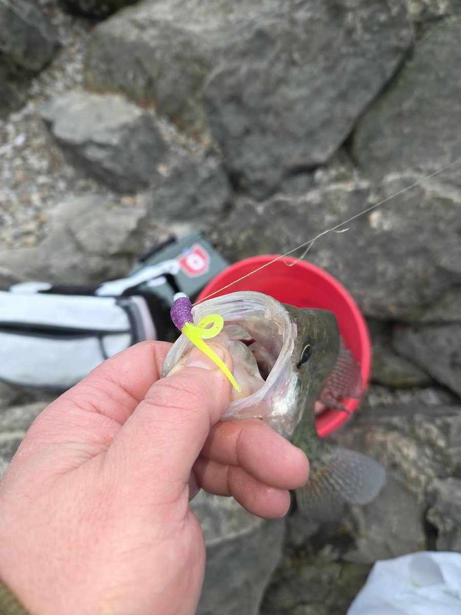 Zachory Hatton tweet media