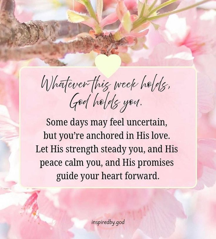 Karen Creek tweet media