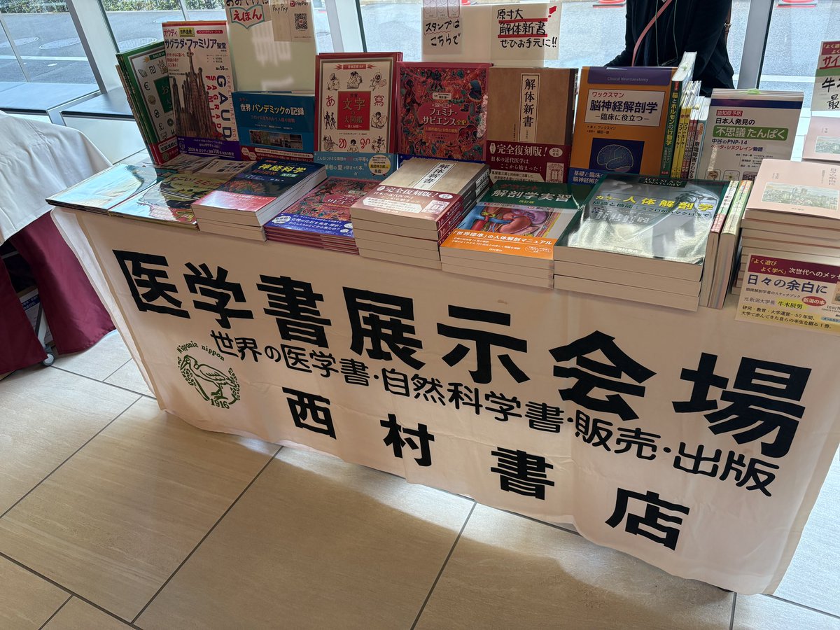 西村書店_伝記絵本⛰『登山家 田部井淳子の物語』＆みんな違って素敵だね🌈『ともだち ひみつ大図鑑』 tweet media