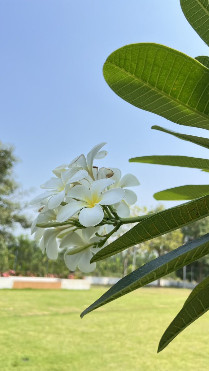 Monthy_แม่ชน์พี่หลิง OOK🪽🦮 รักน้องออม tweet media