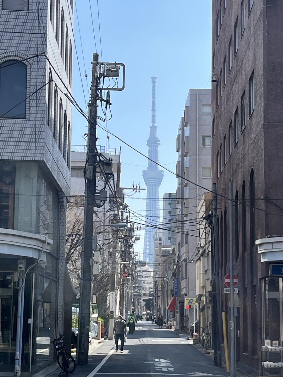 takeya-kodama（地酒屋こだま） tweet media