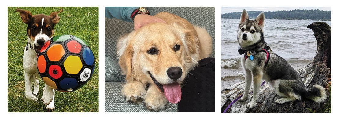 Cheeky Parrot Games tweet media