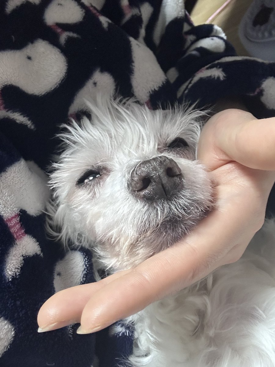 TuT곰팅 tweet media