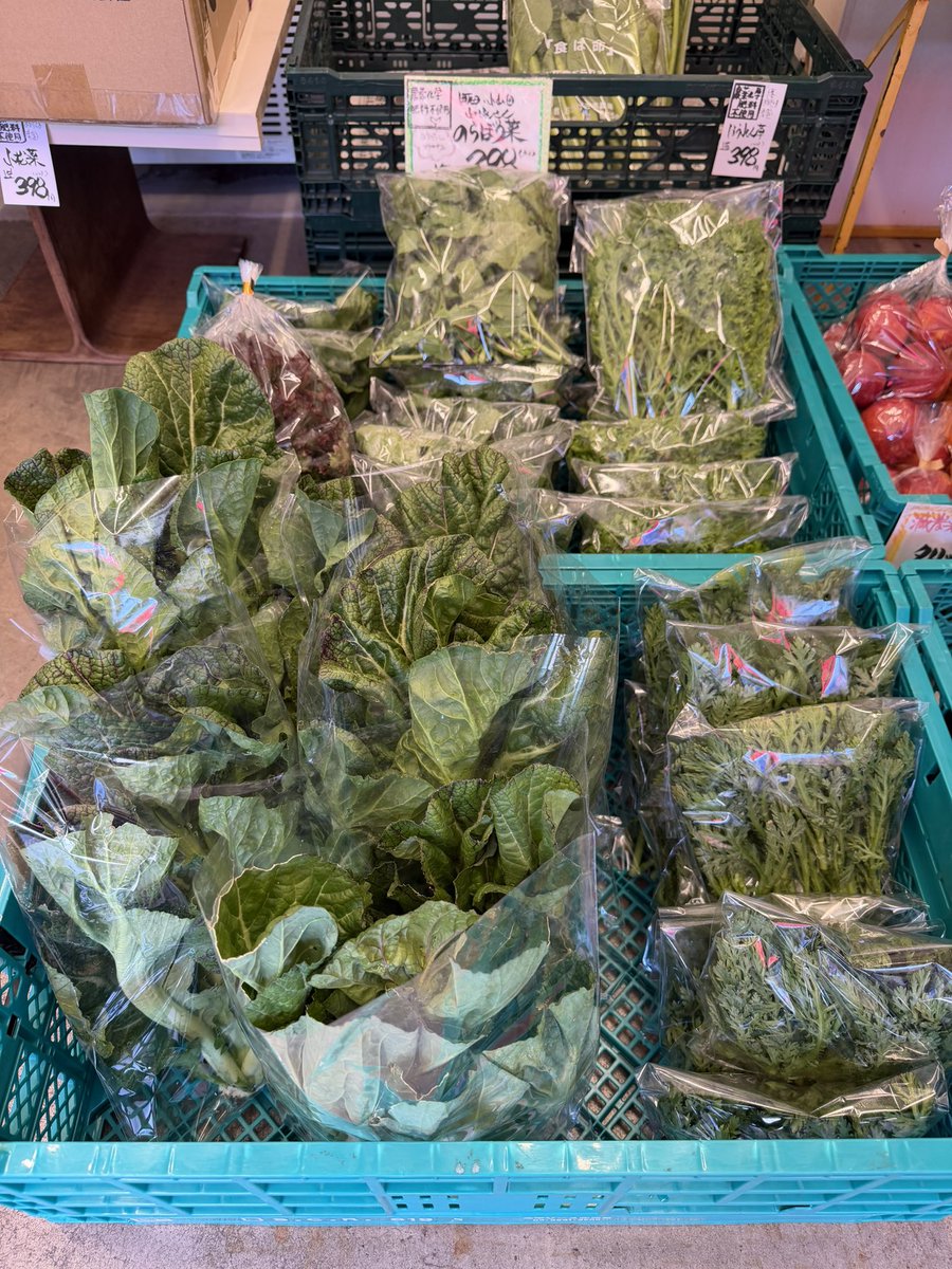 Akira Sakemotoさけもとあきら tweet media