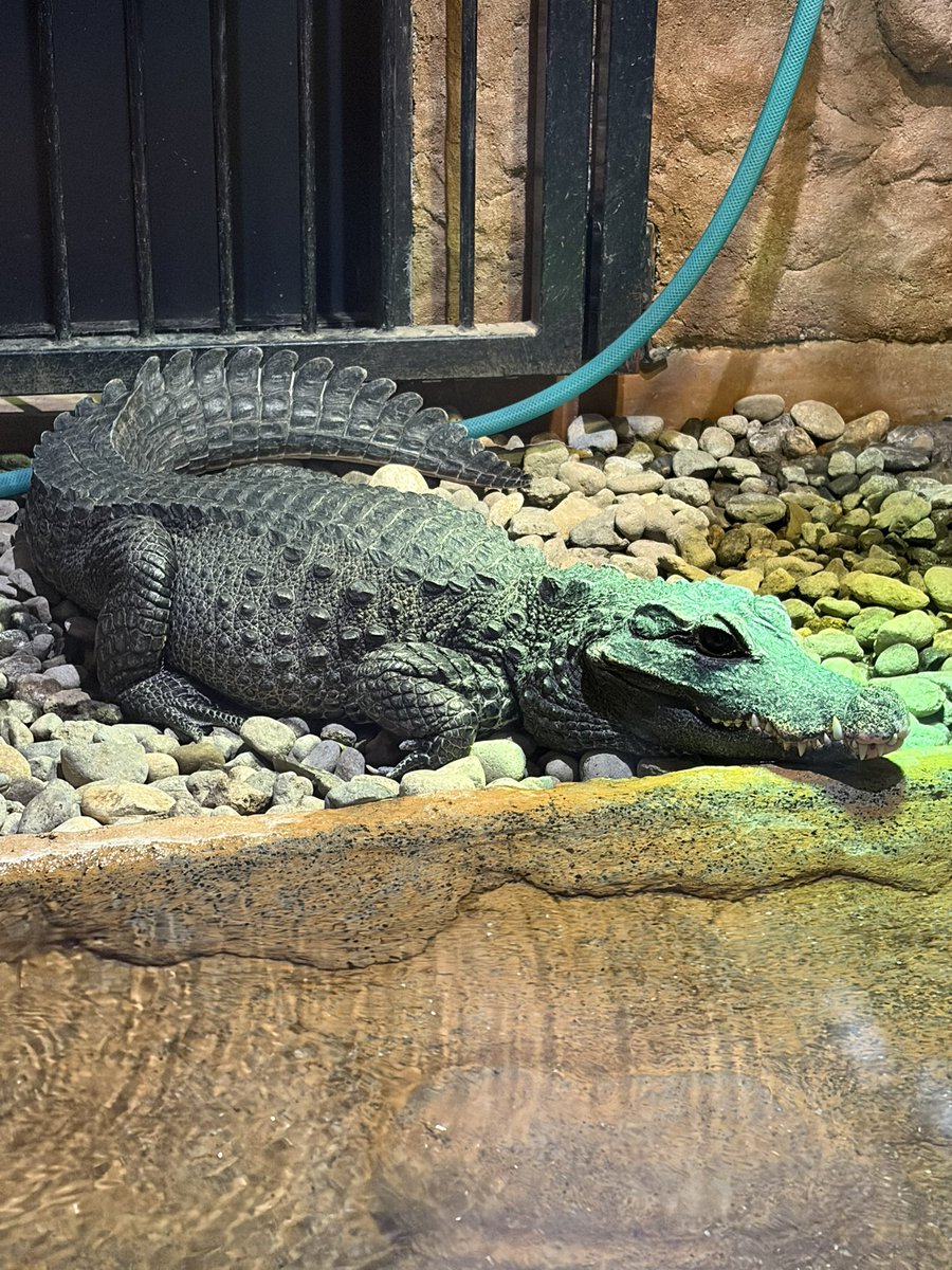 アイデアパッケージ【公式】 tweet media