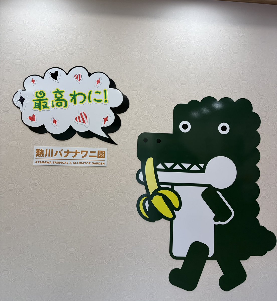 アイデアパッケージ【公式】 tweet media