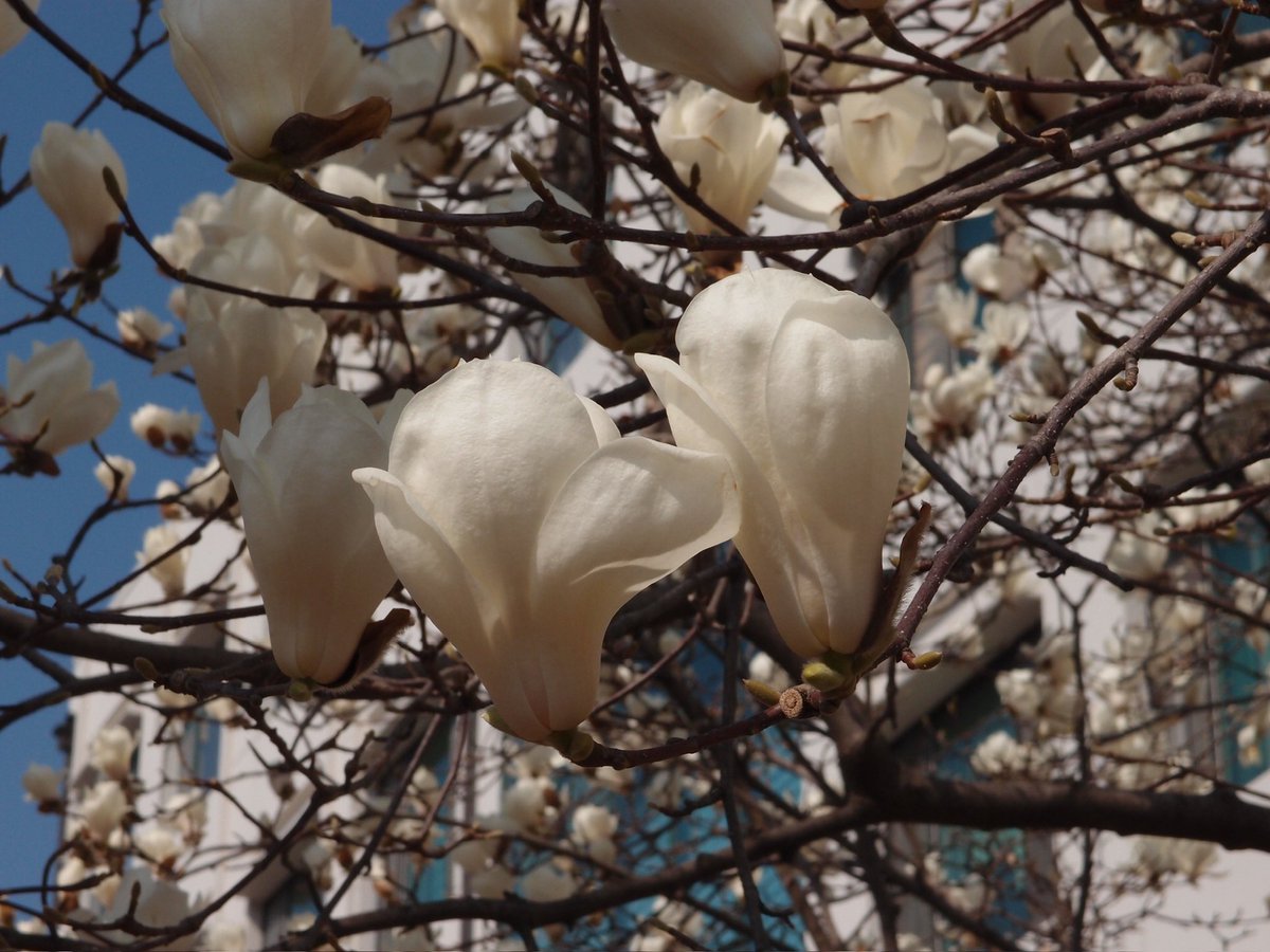 백설기콩떡🍮🍨 tweet media