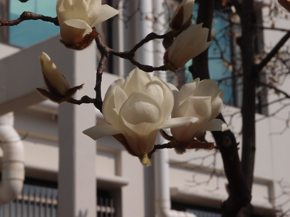 백설기콩떡🍮🍨 tweet media