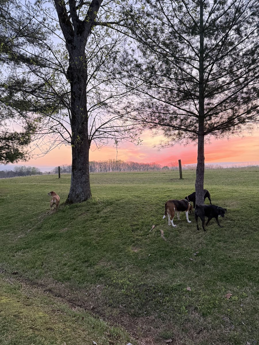 MichaBaden 🇩🇪🇺🇸 tweet media