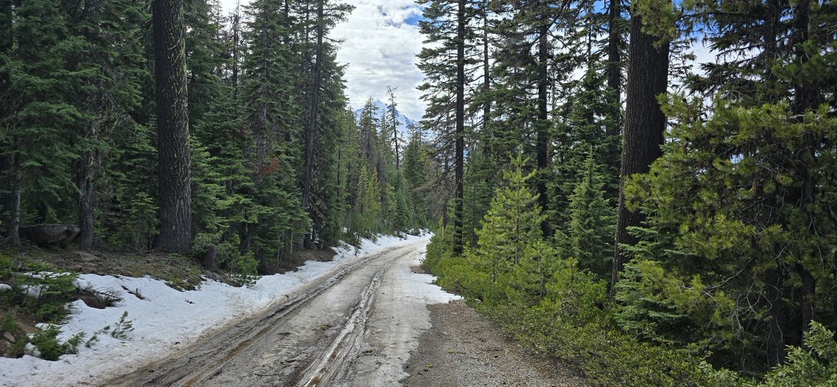 Bohumil Vosicky tweet media