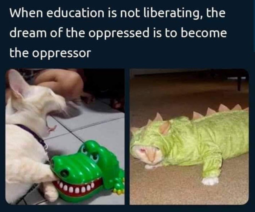 The Posting Menace 🍯💗🦇 tweet media