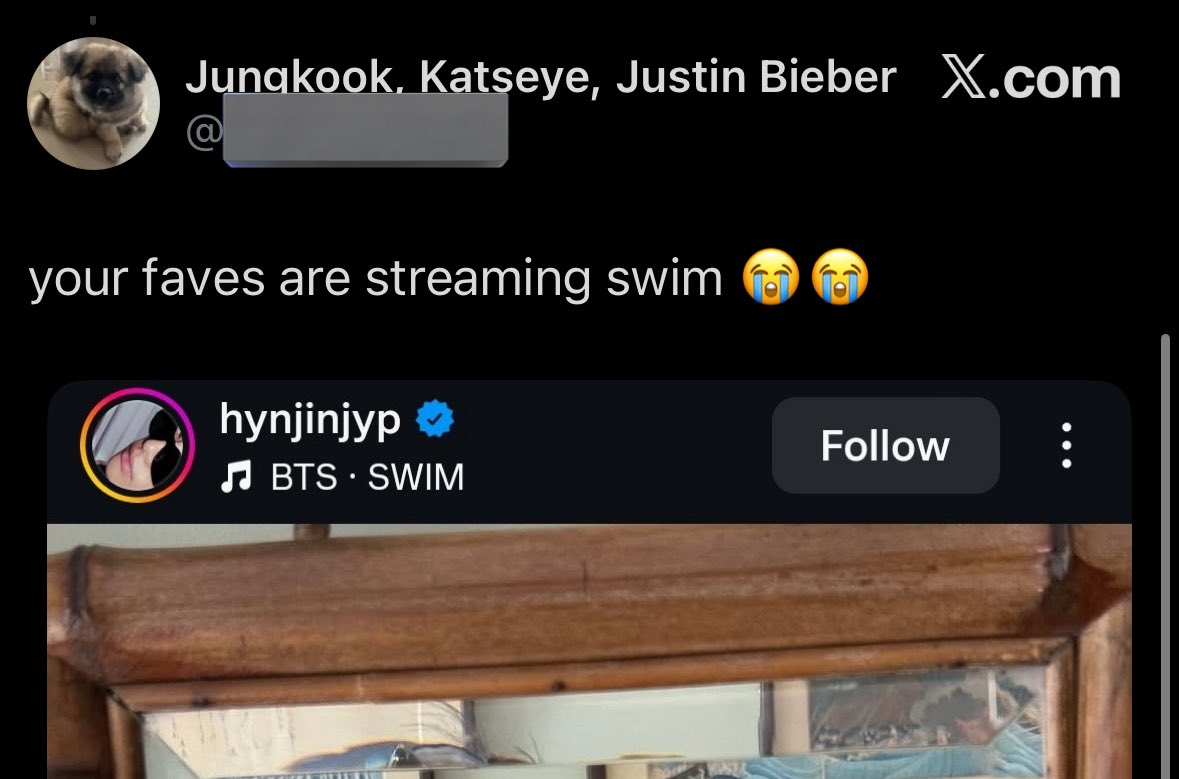 skz ant! struggles ☀️ read pin tweet media