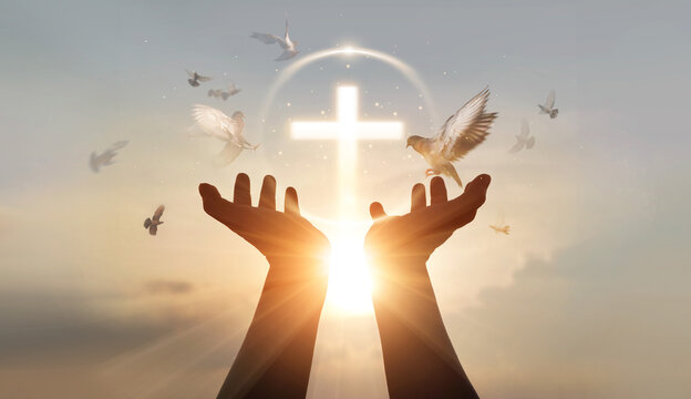 Kekius Maximus tweet media