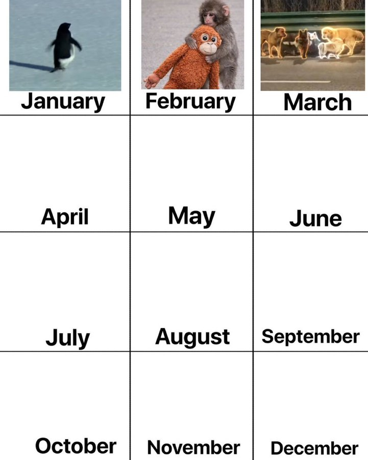 The 7 Wanderers tweet media