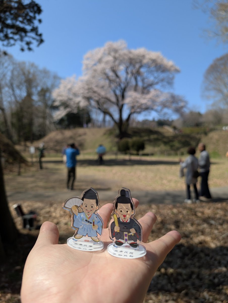 篠原 諒/Ryo Shinohara tweet media