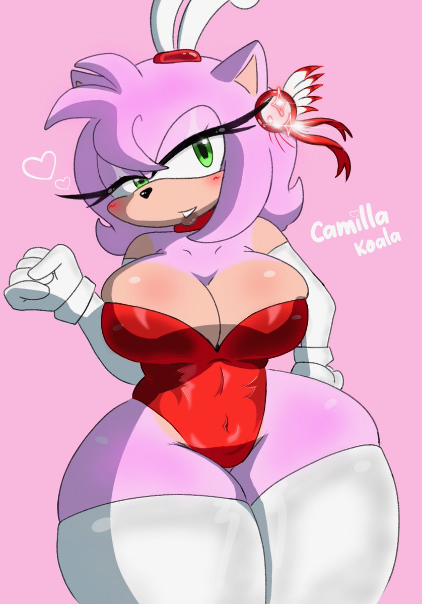 Naughty koala🔞 tweet media