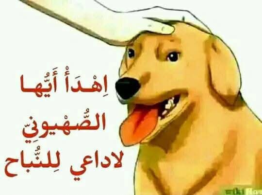 مـوآطـن مـطـح ـون tweet media