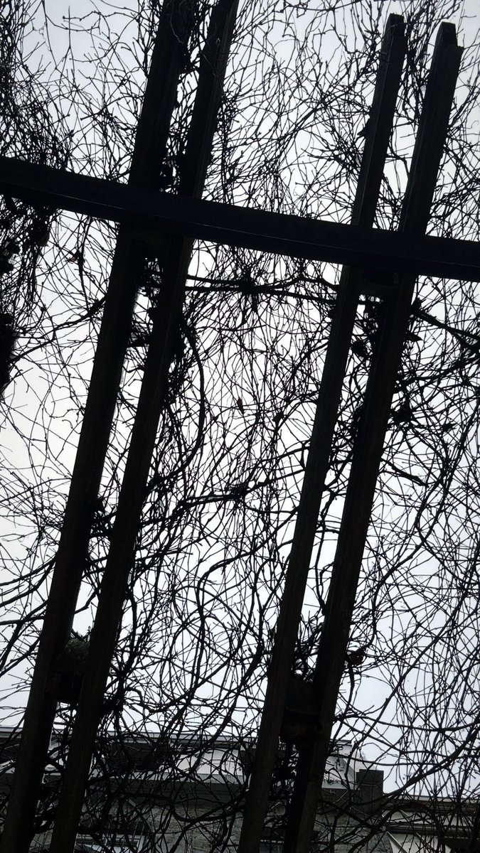 gloryboi4eva ⚜️ tweet media