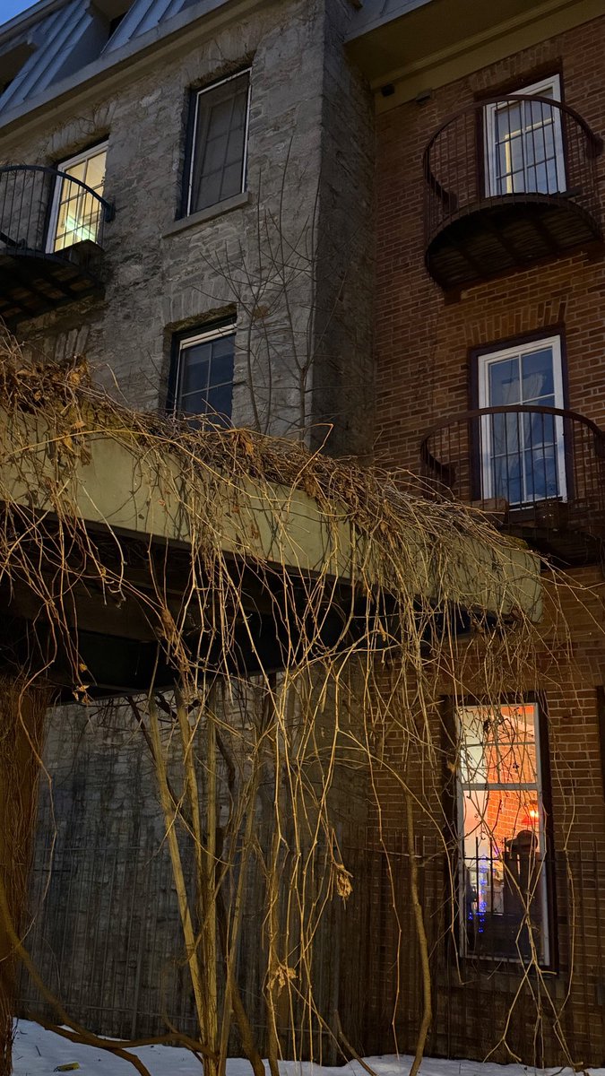 gloryboi4eva ⚜️ tweet media