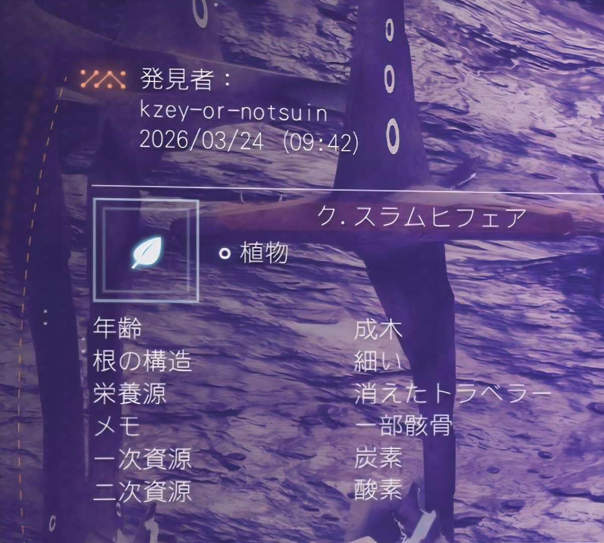 Kzey-or-Notsuin tweet media