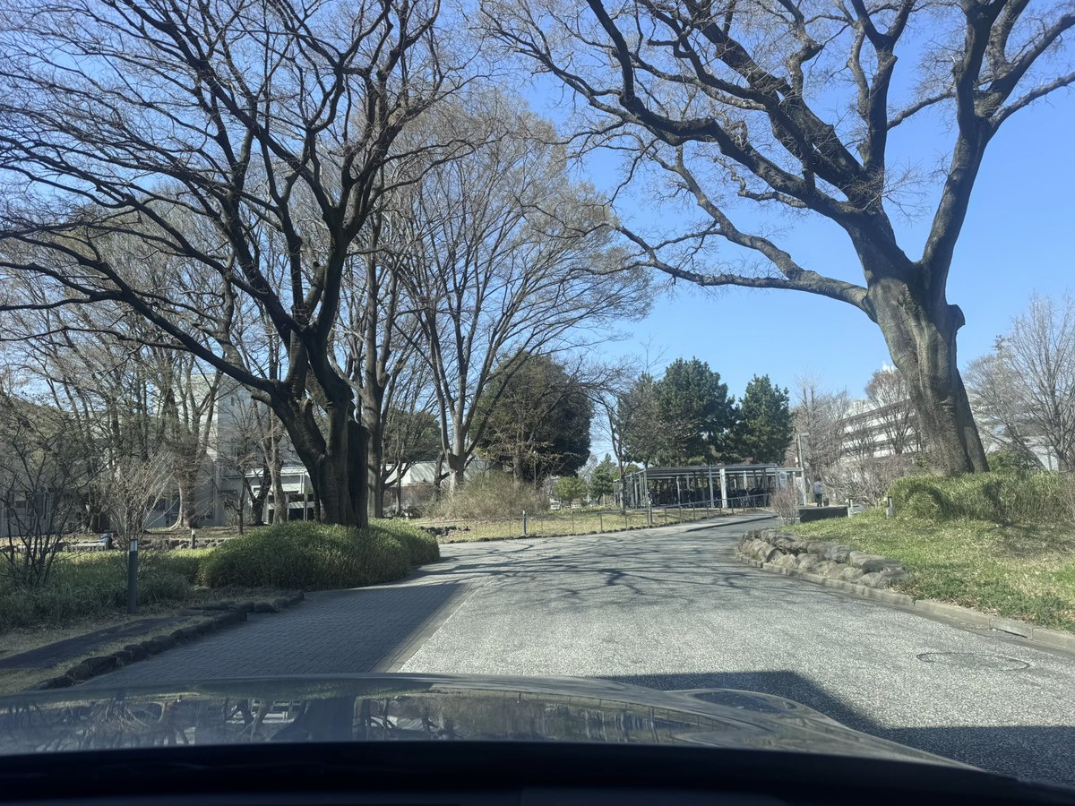 (個人)Kento⭐︎TAXI tweet media