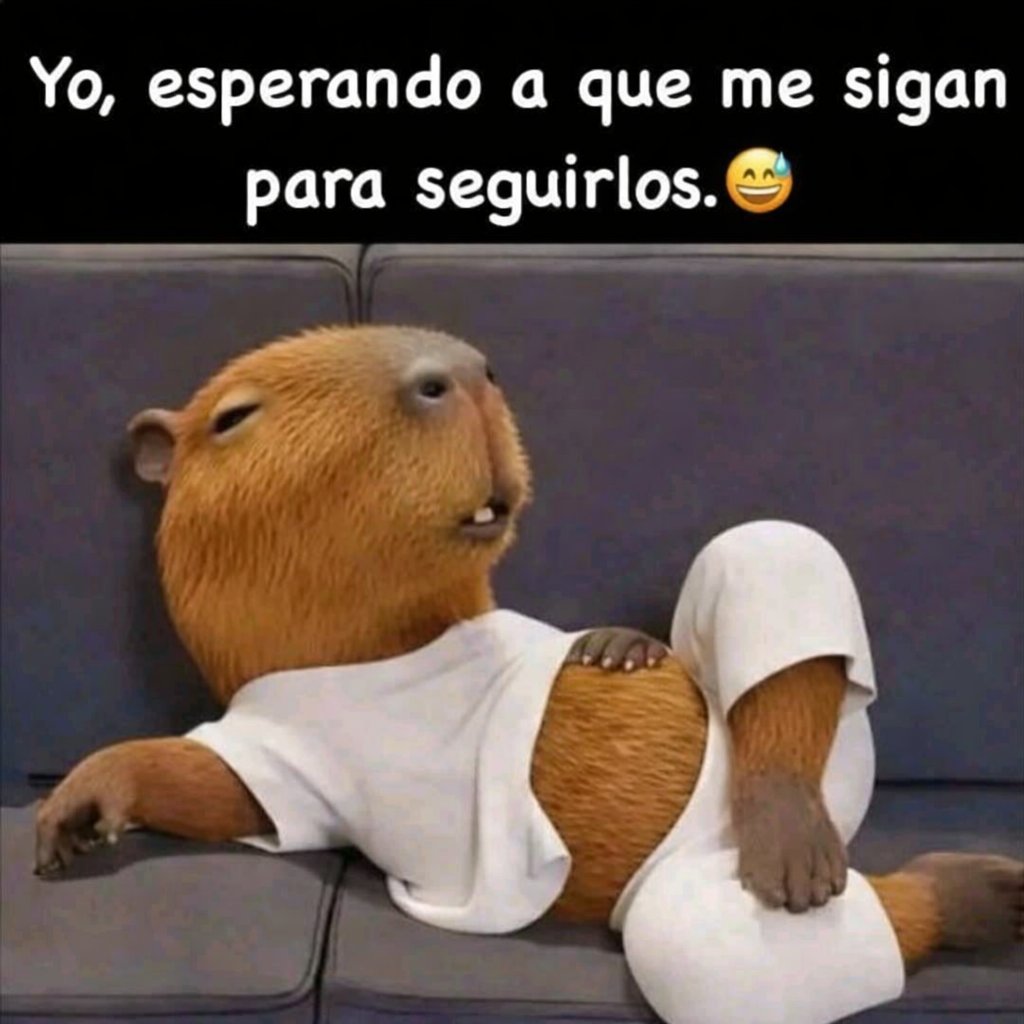 Zorrito 🦊 tweet media